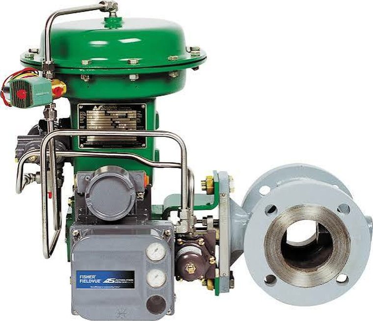 Flanged rotary control valve
