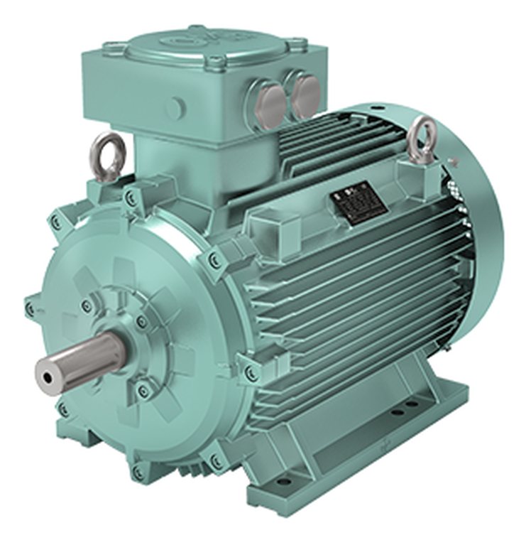 Foot-mounted explosion-proof motor