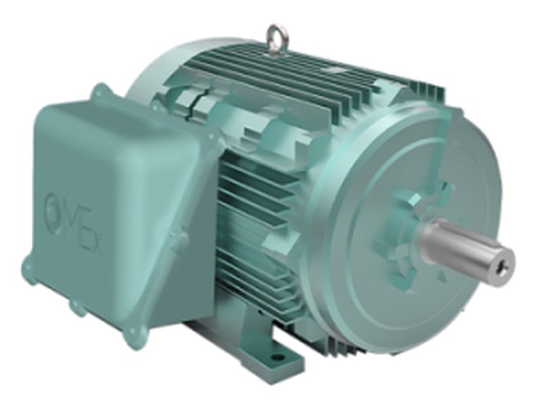 Explosion-proof motor