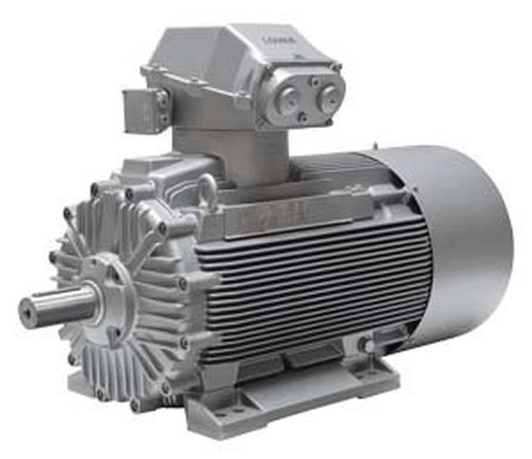 Explosion-proof motor
