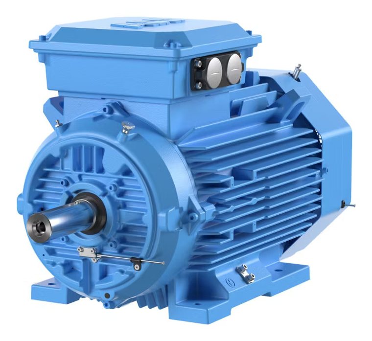 Foot-and-flange mounted motor