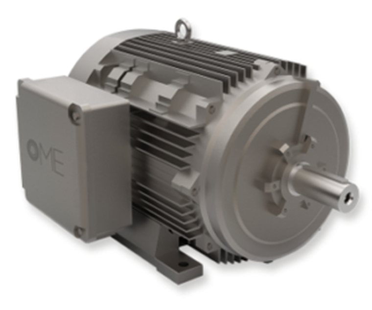 Industrial electric motor