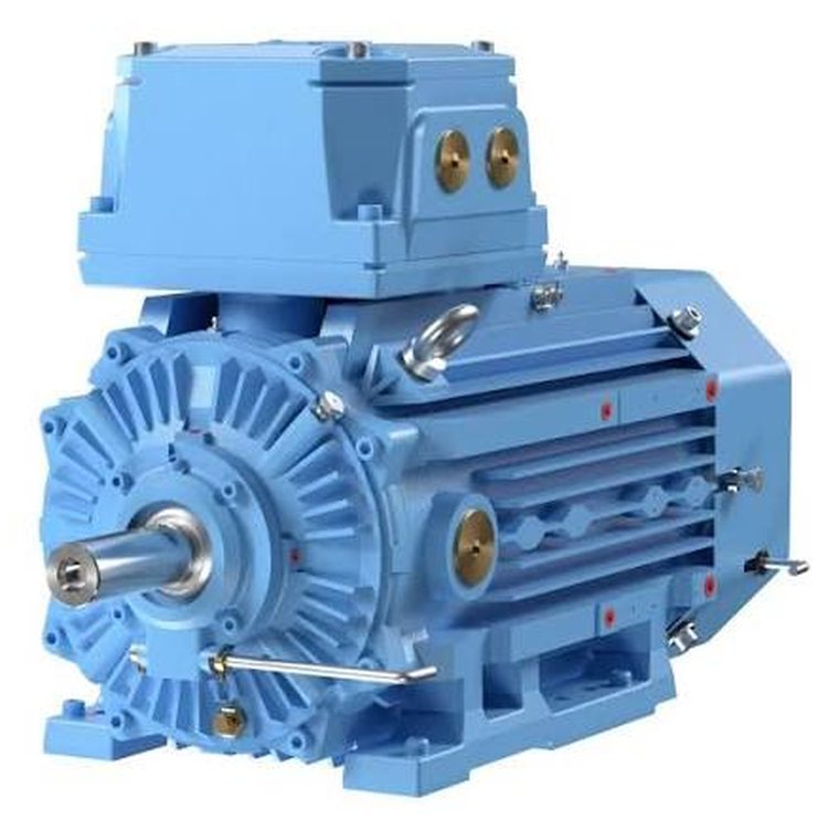Motor with a large terminal box
