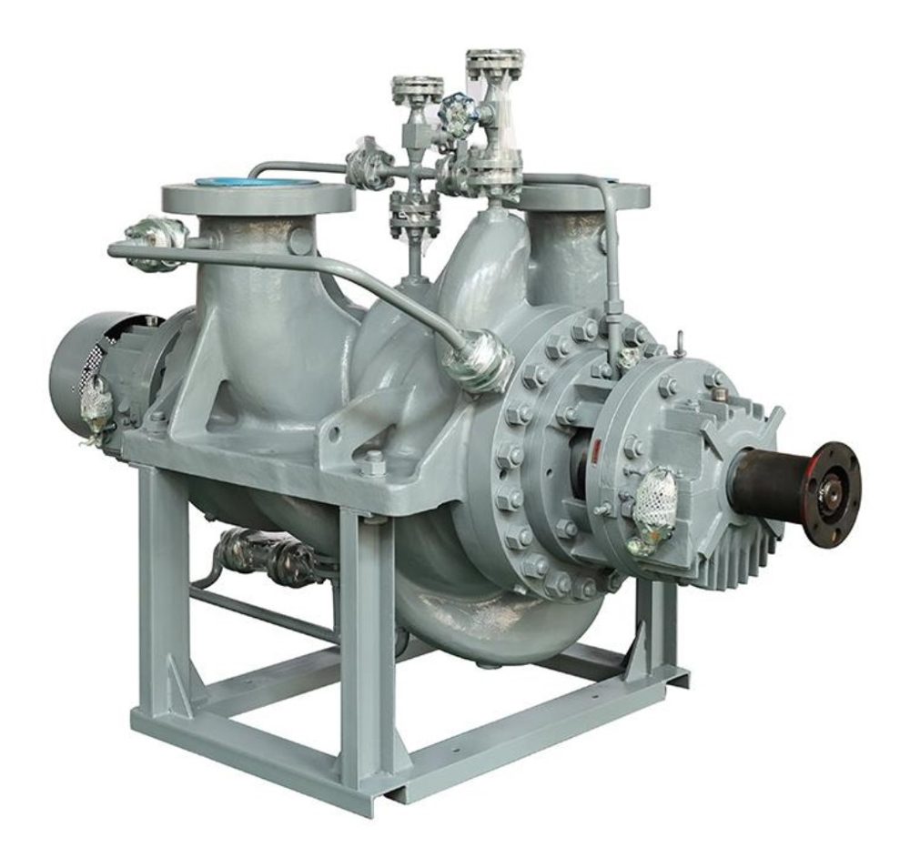 Between-bearings process pump