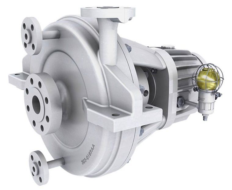 Process pump with an integrated motor