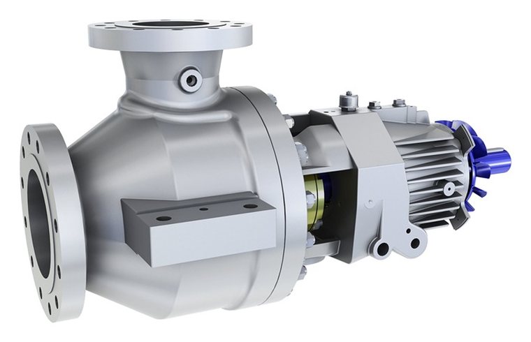 Overhung process pump