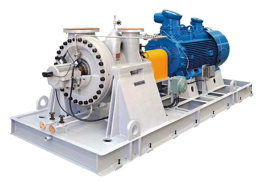 Skid-mounted process pump package